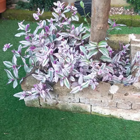 לינה וארוחת בוקר La Perla Del Naviglio